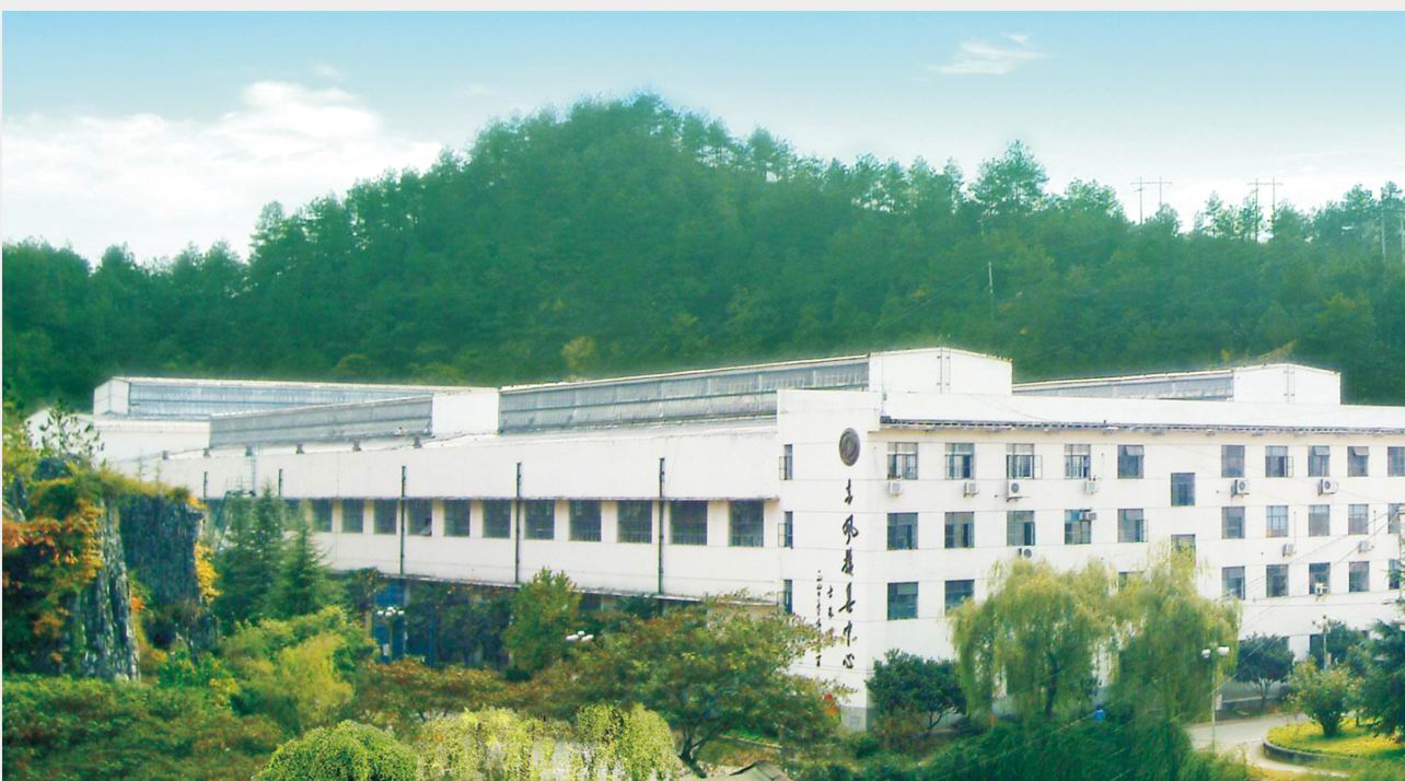 ����ģ������ Overview of new shop